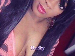 Heidhy Super Webcam