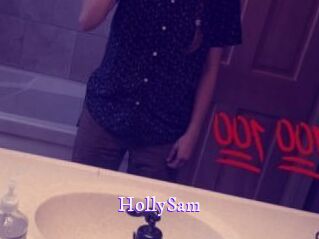 HollySam Super Webcam