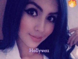 Hollywett Super Webcam