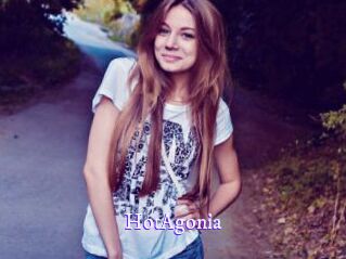 HotAgonia