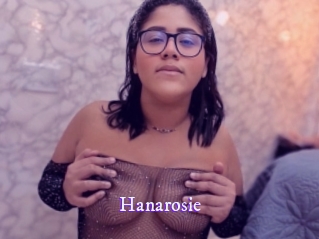 hanarosie Super Webcam