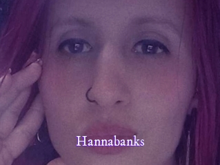 hannabanks Super Webcam
