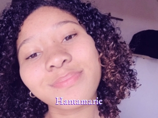 Hantamarie