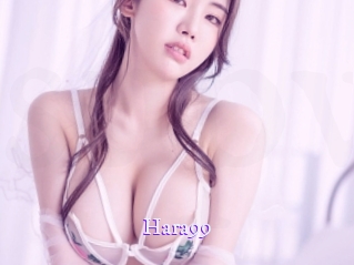 hara99 Super Webcam
