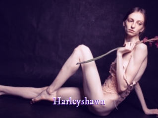 harleyshawn Super Webcam