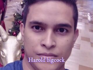 Harold_bigcock