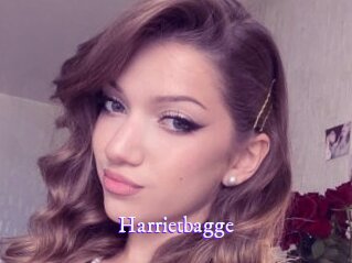 Harrietbagge