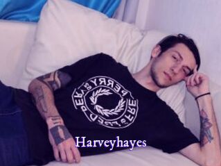 Harveyhayes