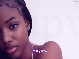 haya23 Super Webcam