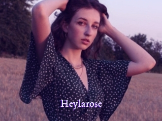 heylarose Super Webcam