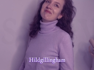 hildgillingham Super Webcam
