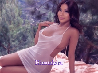 hinataharu Super Webcam