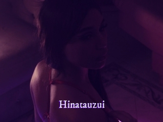 hinatauzui Super Webcam
