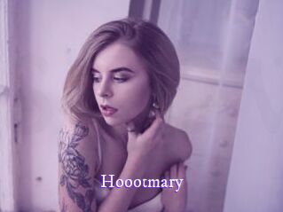 hoootmary Super Webcam