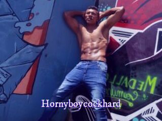 hornyboycockhard Super Webcam