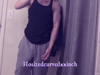 hosizedcurvedxxinch Super Webcam