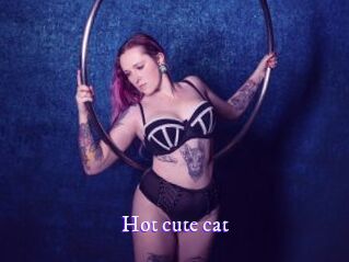 Hot_cute_cat