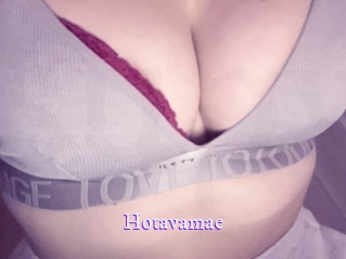 Hotavamae