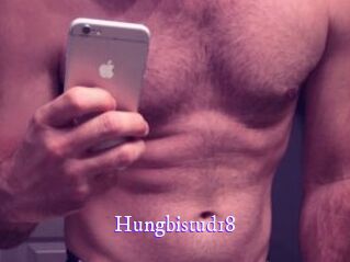 Hungbistud18