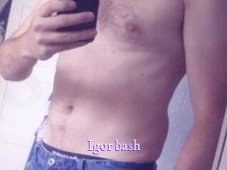 Igor_bash