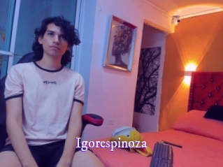 igorespinoza Super Webcam
