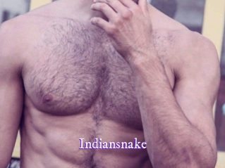 indiansnake Super Webcam