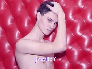 JoeyB0Y