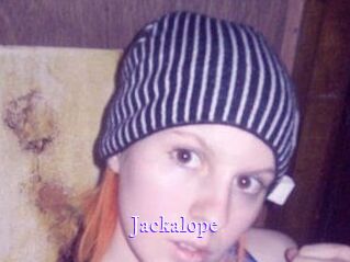 Jackalope