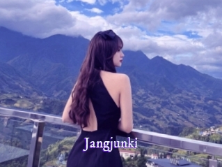 jangjunki Super Webcam