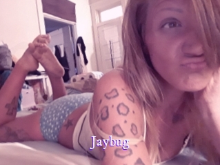 Jaybug