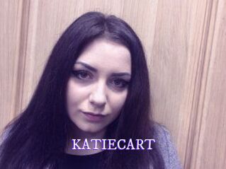 KATIE_CART Super Webcam
