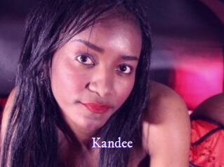 Kandee Super Webcam