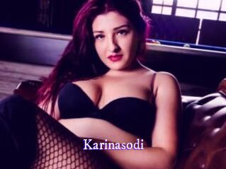 Karinasodi