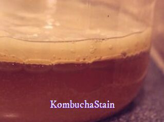 KombuchaStain