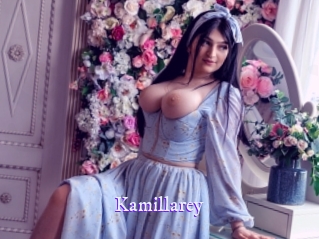 kamillarey Super Webcam