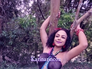 karinarincon Super Webcam
