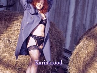 karinarood Super Webcam