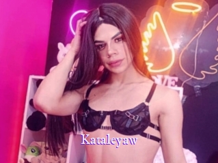 kataleyaw Super Webcam