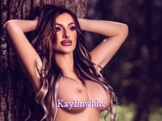 kaylinwhite Super Webcam