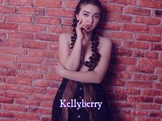 kellyberry Super Webcam