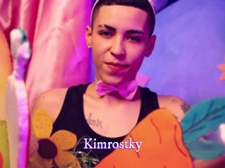 kimrostky Super Webcam