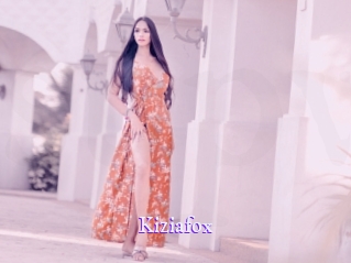 kiziafox Super Webcam