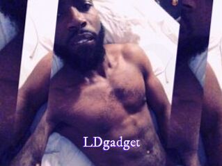 LDgadget