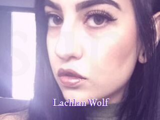 Lachlan_Wolf