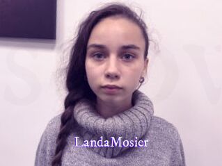 LandaMosier Super Webcam