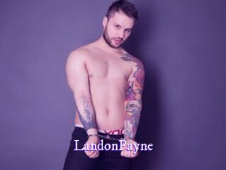 LandonPayne Super Webcam