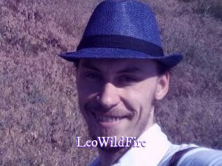 LeoWildFire
