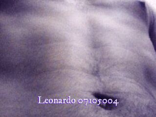 Leonardo-07105004