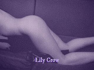 Lily_Crow
