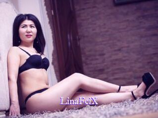 LinaFeiX